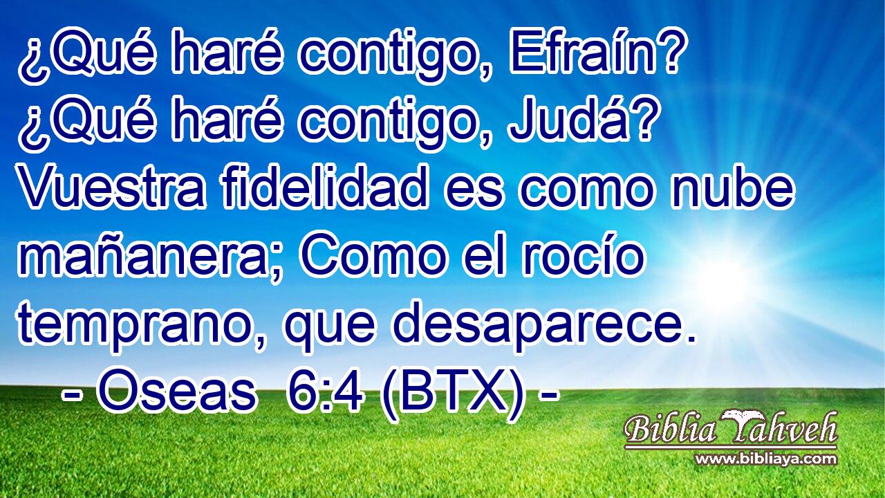 ¿Qué haré contigo, Efraín? ¿Qué haré contigo, Judá? Vuestra fidelidad es como nube mañanera; Como el rocío temprano, que desaparece.
