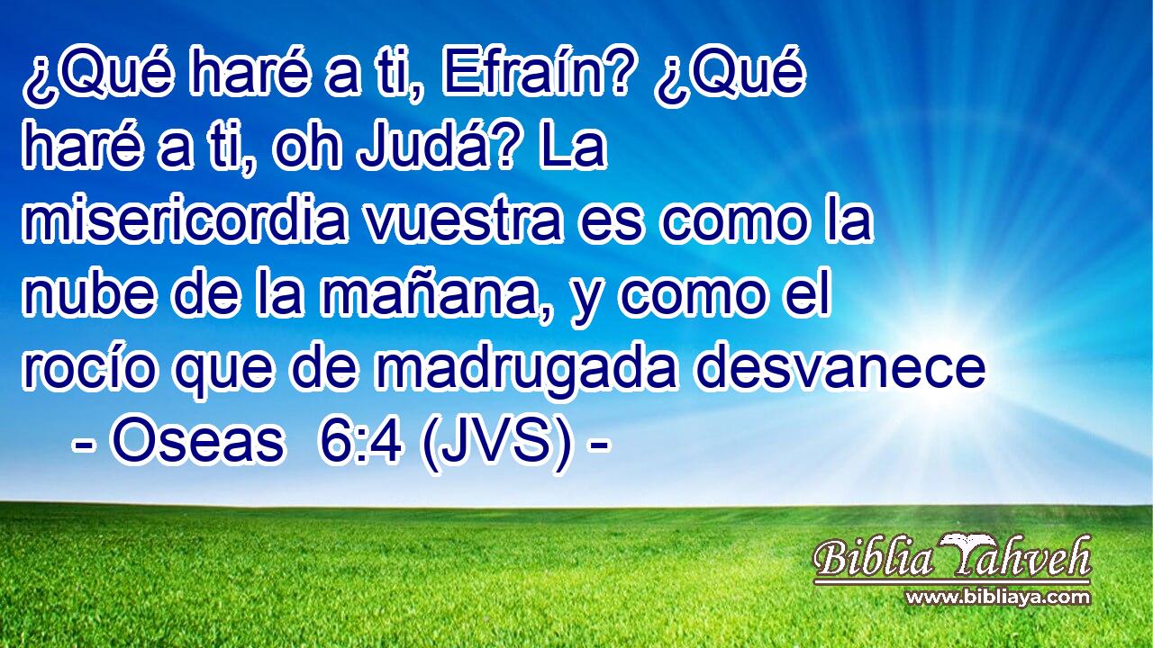¿Qué haré a ti, Efraín? ¿Qué haré a ti, oh Judá? La misericordia vuestra es como la nube de la mañana, y como el rocío que de madrugada desvanece