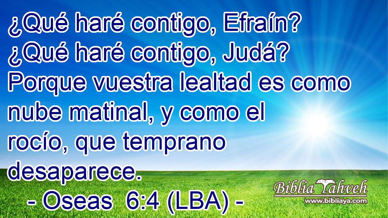 ¿Qué haré contigo, Efraín? ¿Qué haré contigo, Judá? Porque vuestra lealtad es como nube matinal, y como el rocío, que temprano desaparece.
