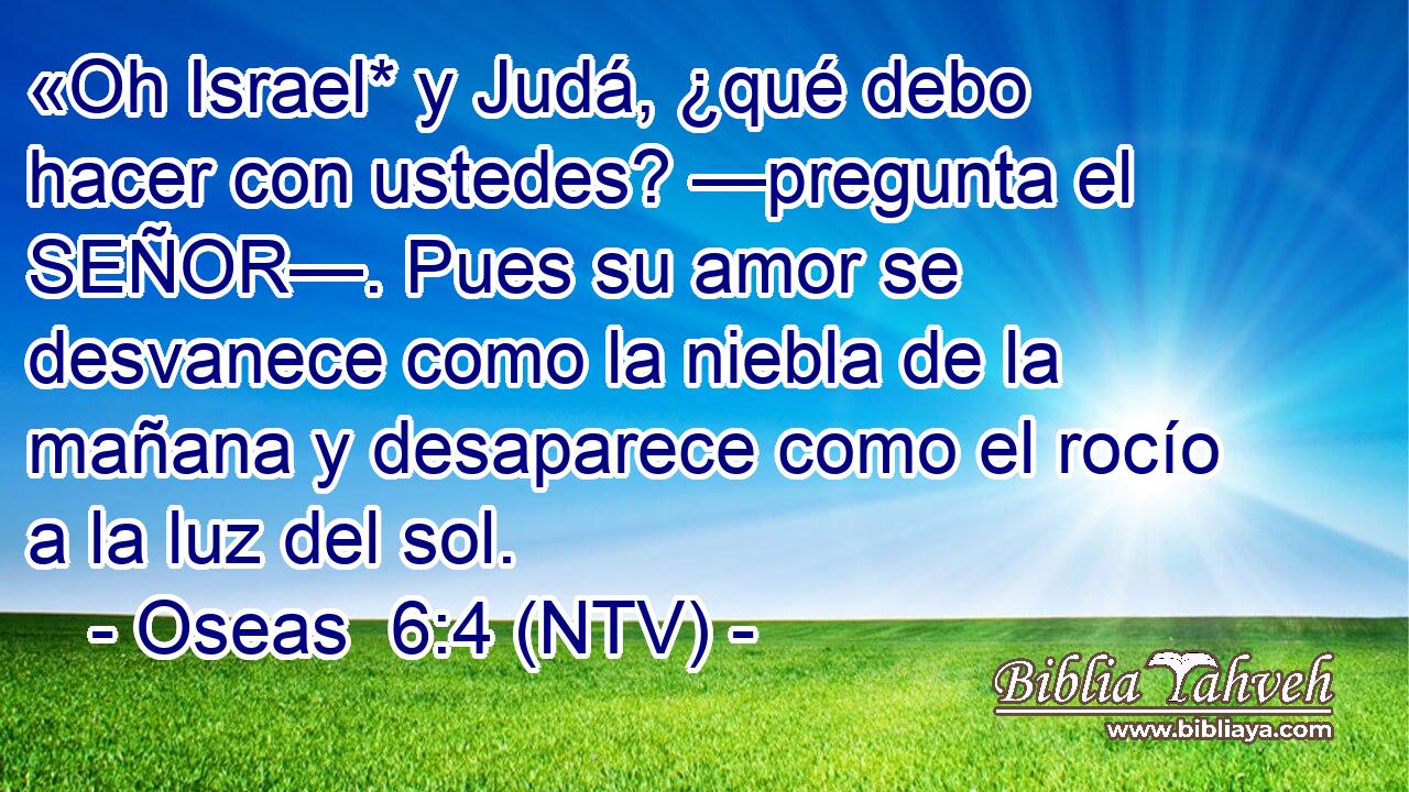 «Oh Israel* y Judá, ¿qué debo hacer con ustedes? —pregunta el SEÑOR—. Pues su amor se desvanece como la niebla de la mañana y desaparece como el rocío a la luz del sol.