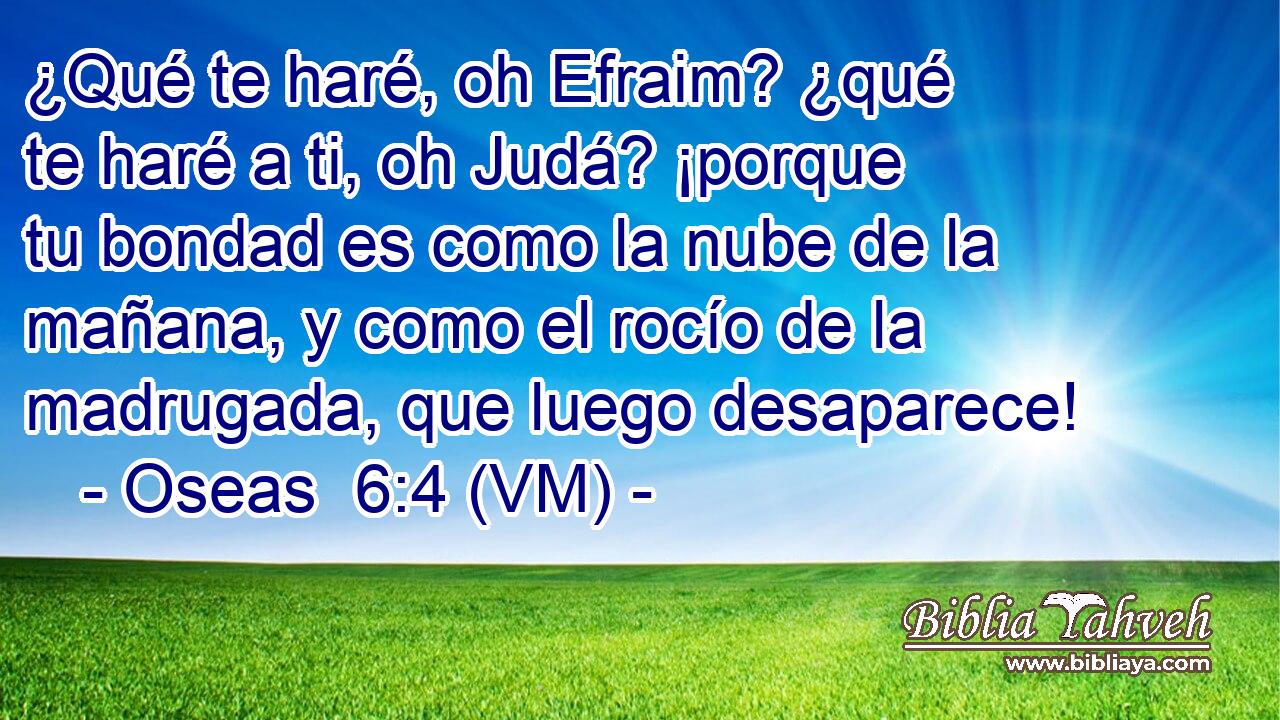  ¿Qué te haré, oh Efraim? ¿qué te haré a ti, oh Judá? ¡porque tu bondad es como la nube de la mañana, y como el rocío de la madrugada, que luego desaparece! 