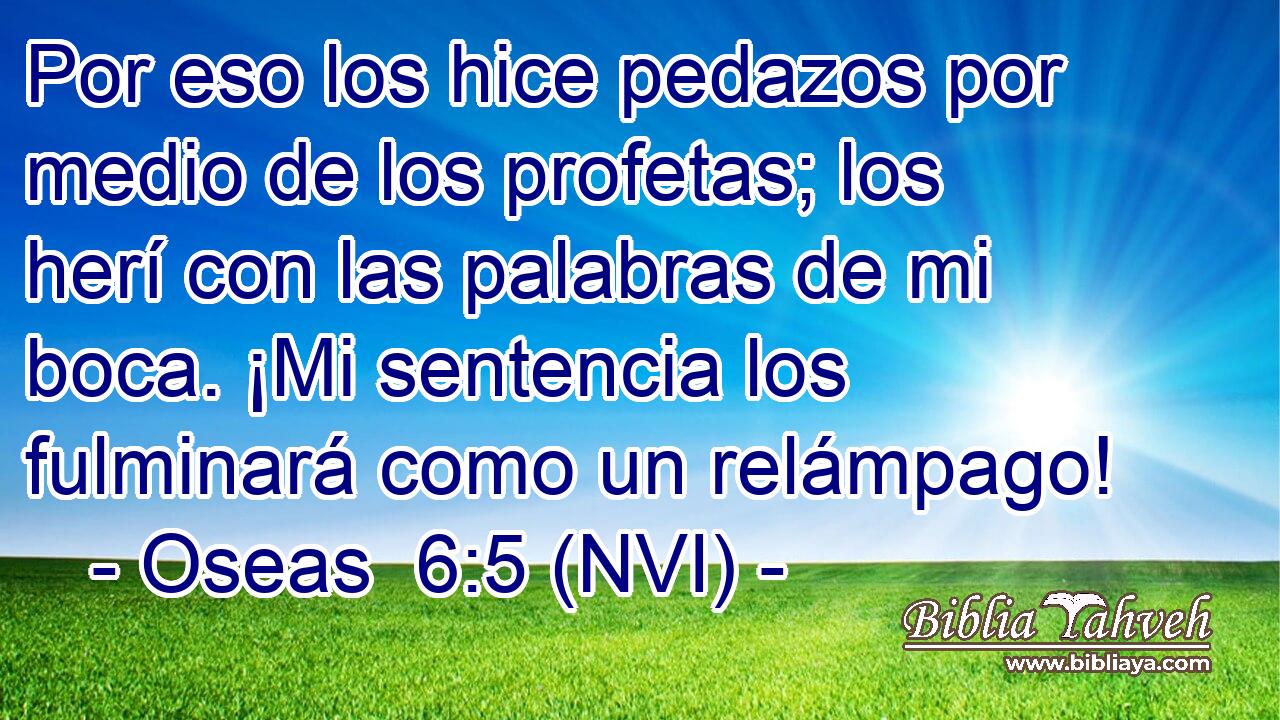  Por eso los hice pedazos por medio de los profetas; los herí con las palabras de mi boca. ¡Mi sentencia los fulminará como un relámpago! 