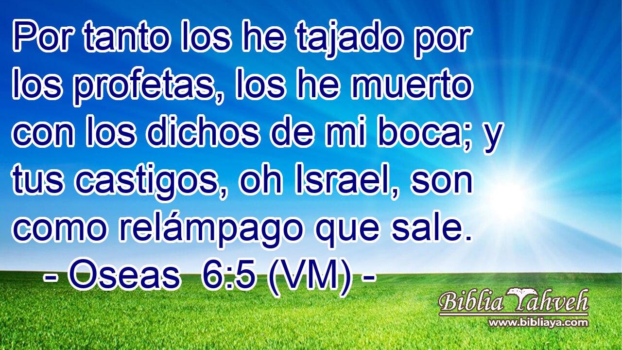  Por tanto los he tajado por los profetas, los he muerto con los dichos de mi boca; y tus castigos, oh Israel, son como relámpago que sale. 