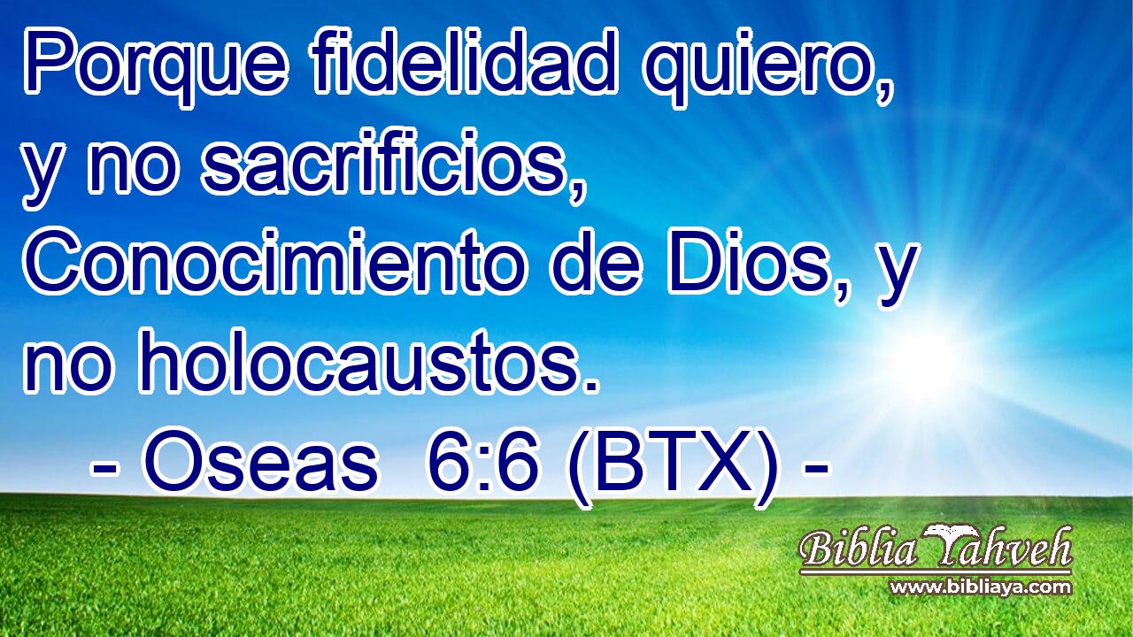 Porque fidelidad quiero, y no sacrificios, Conocimiento de Dios, y no holocaustos.
