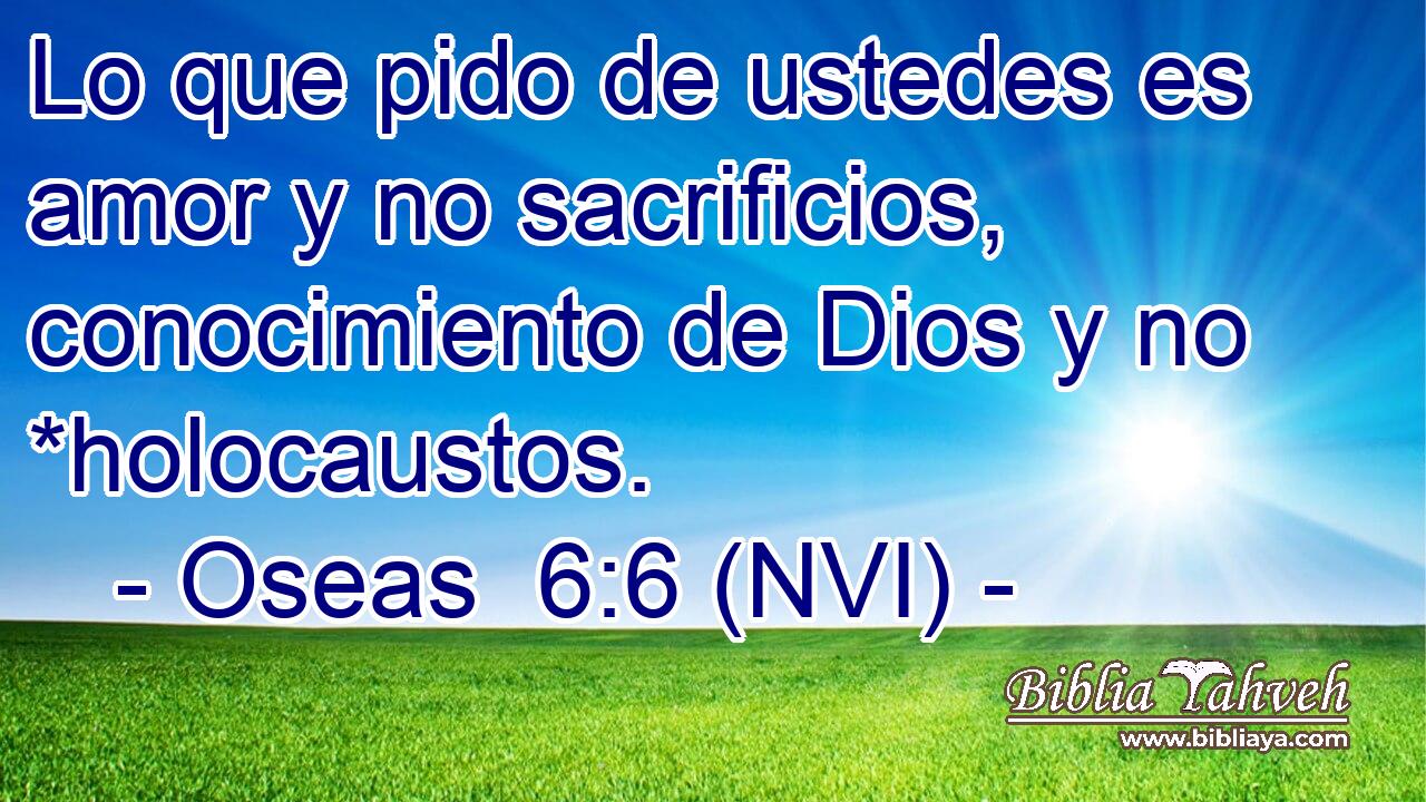  Lo que pido de ustedes es amor y no sacrificios, conocimiento de Dios y no *holocaustos. 