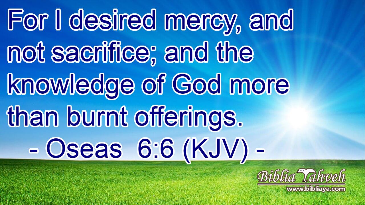 For I desired mercy, and not sacrifice; and the knowledge of God more than burnt offerings.