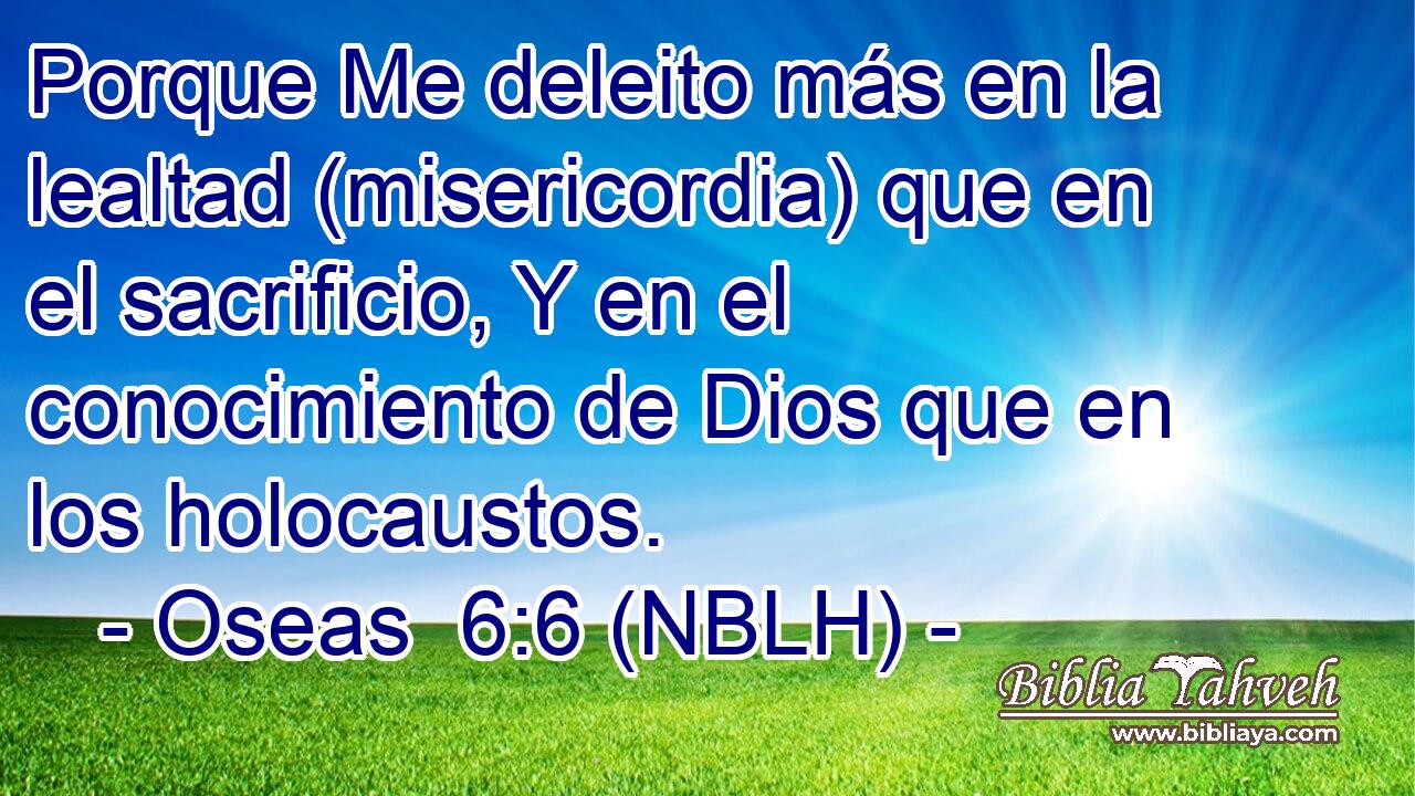 Porque Me deleito más en la lealtad (misericordia) que en el sacrificio, Y en el conocimiento de Dios que en los holocaustos. 