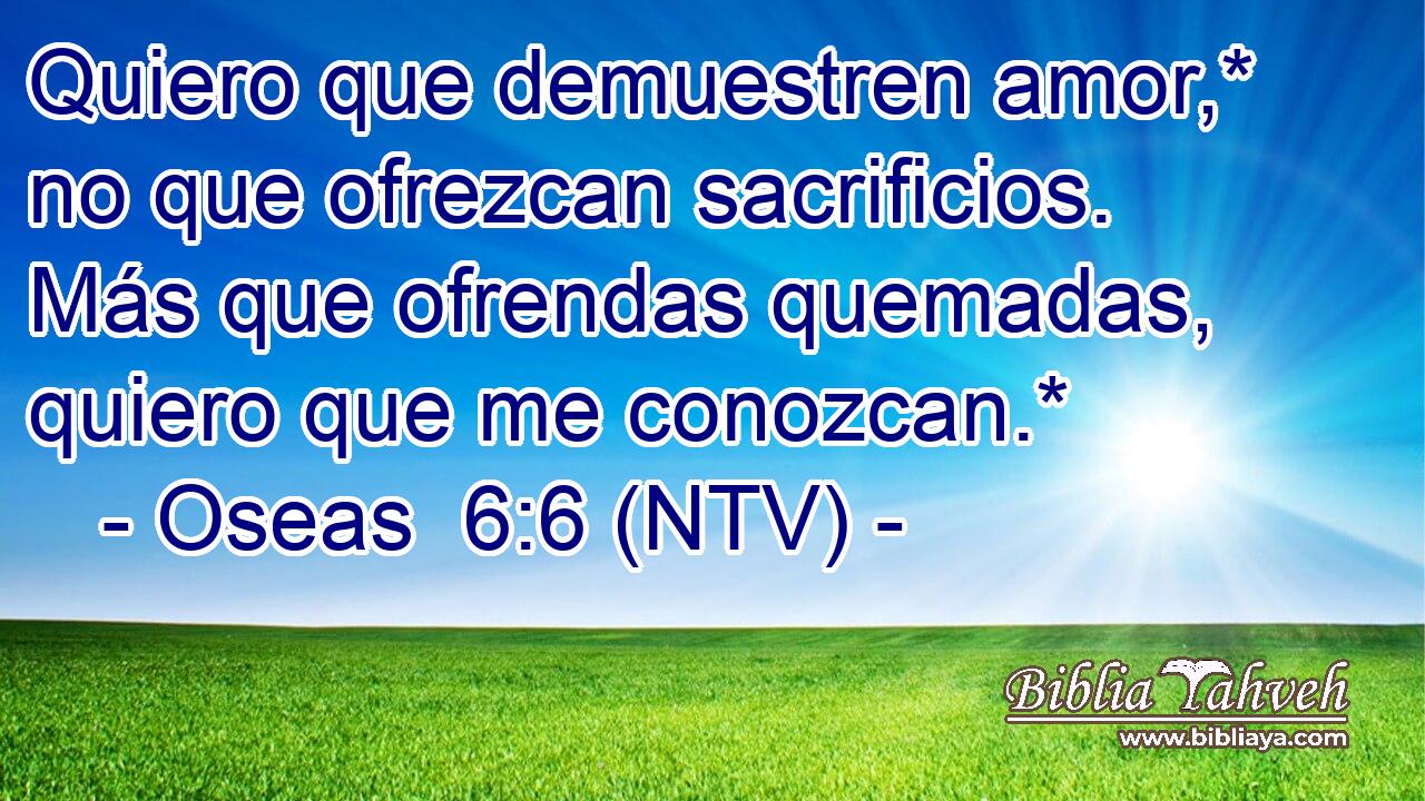 Quiero que demuestren amor,* no que ofrezcan sacrificios. Más que ofrendas quemadas, quiero que me conozcan.*