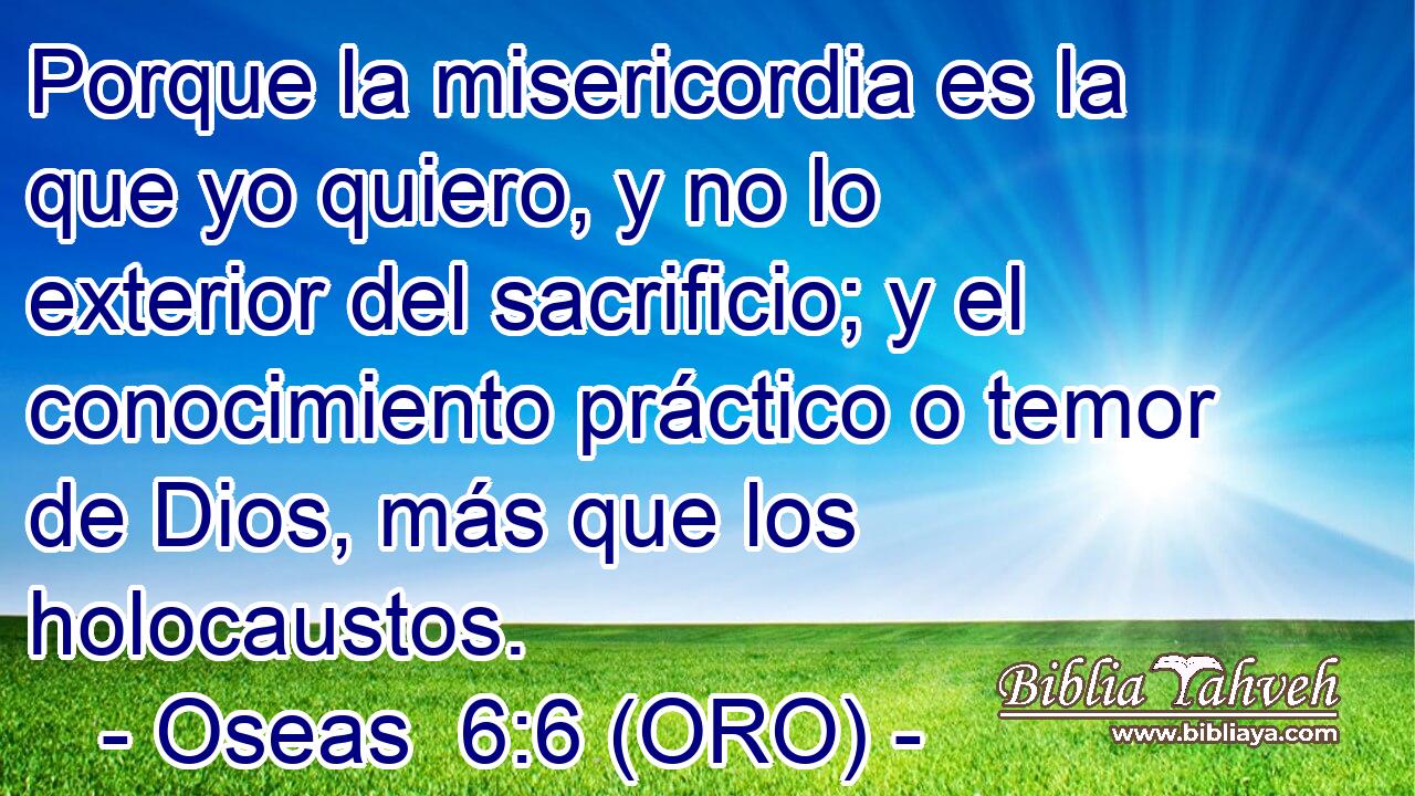  Porque la misericordia es la que yo quiero, y no lo exterior del sacrificio; y el conocimiento práctico o temor de Dios, más que los holocaustos. 