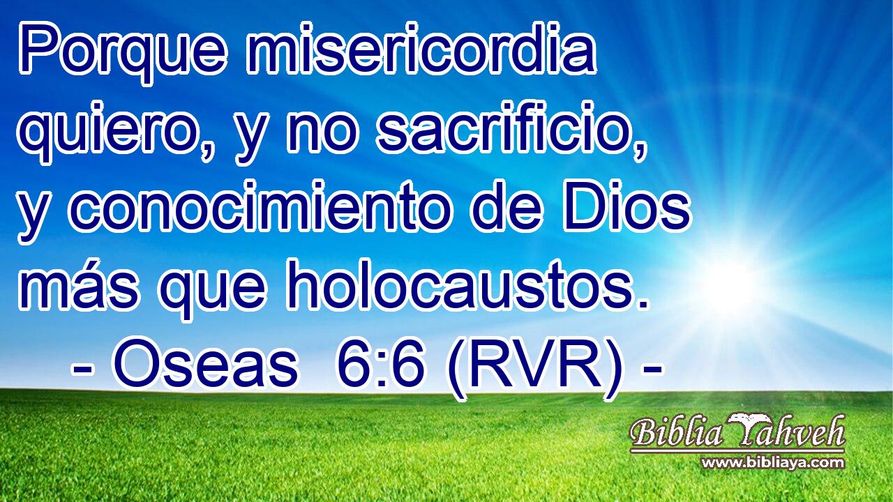 Porque misericordia quiero, y no sacrificio, y conocimiento de Dios más que holocaustos.