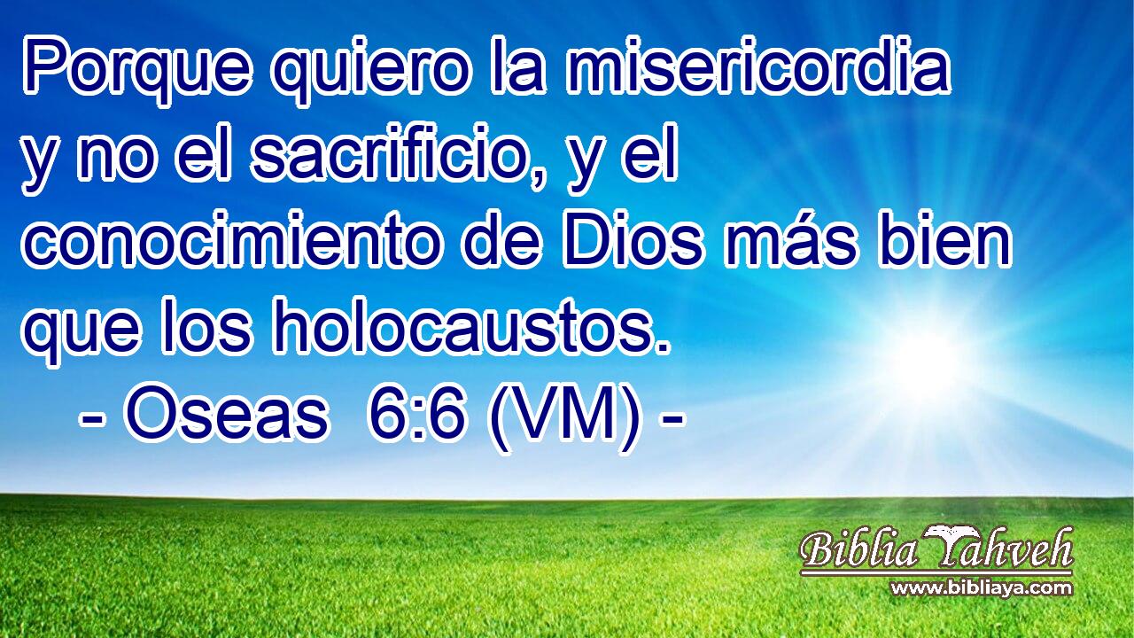  Porque quiero la misericordia y no el sacrificio, y el conocimiento de Dios más bien que los holocaustos. 