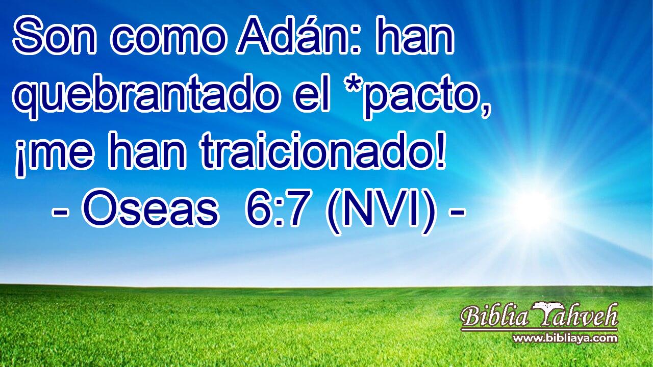  Son como Adán: han quebrantado el *pacto, ¡me han traicionado! 