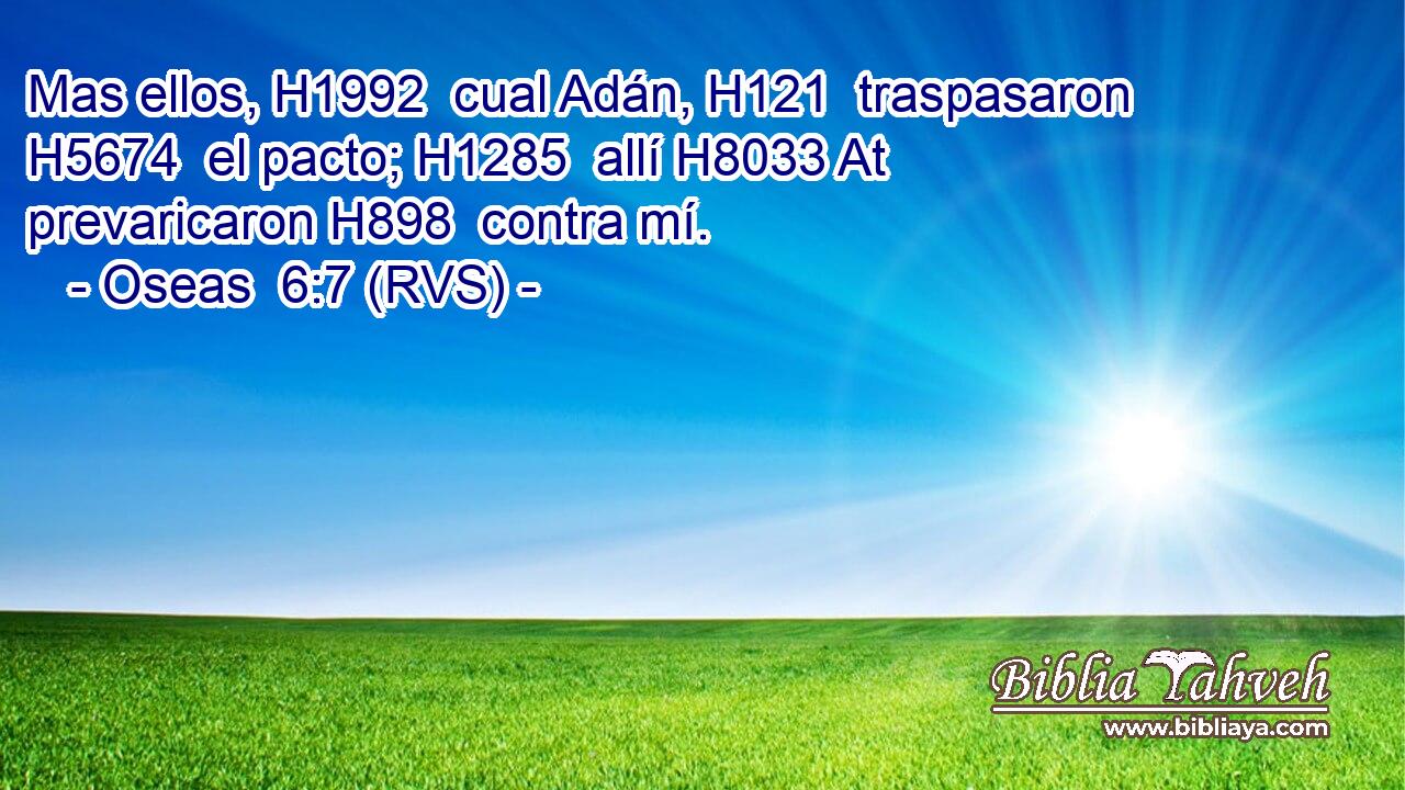 Mas ellos, H1992  cual Adán, H121  traspasaron H5674  el pacto; H1285  allí H8033 At prevaricaron H898  contra mí. 