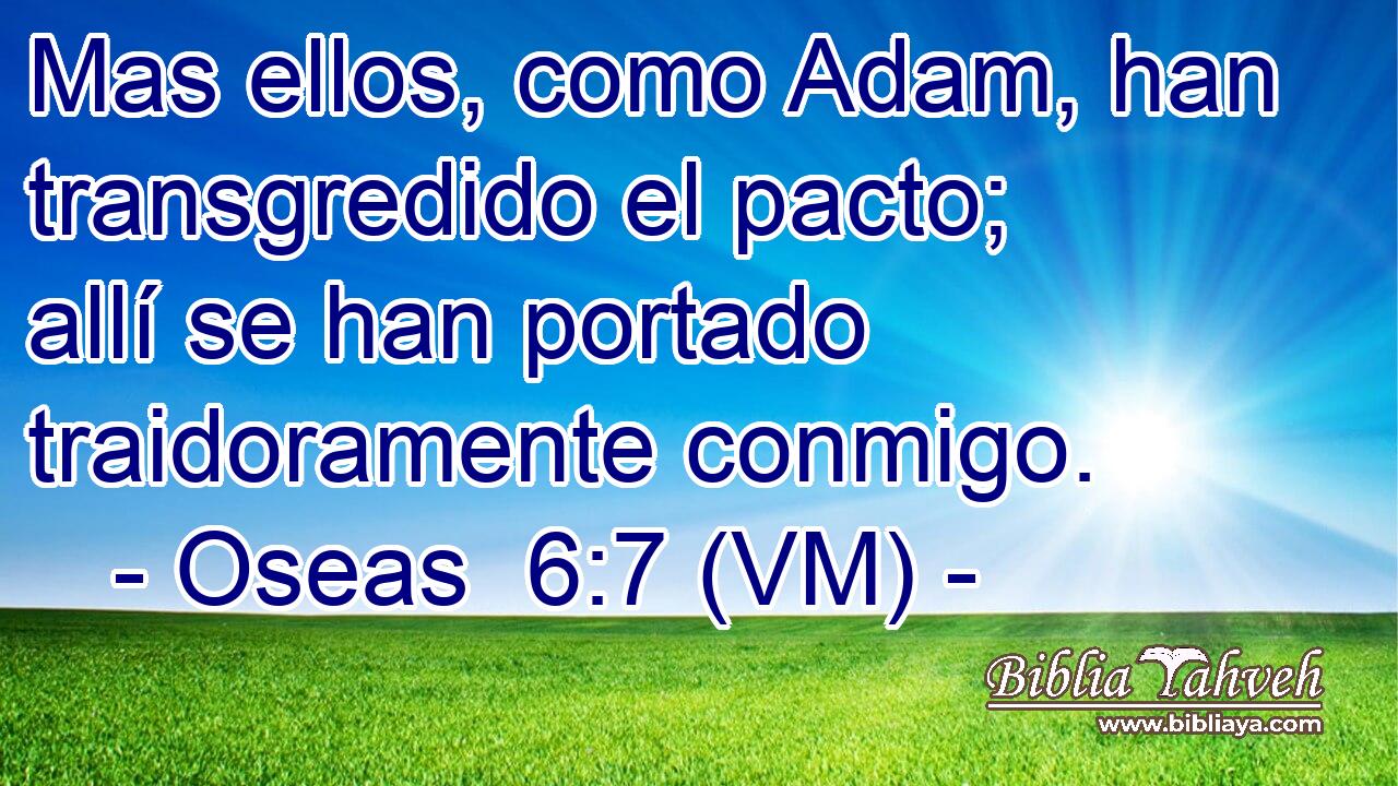  Mas ellos, como Adam, han transgredido el pacto; allí se han portado traidoramente conmigo. 