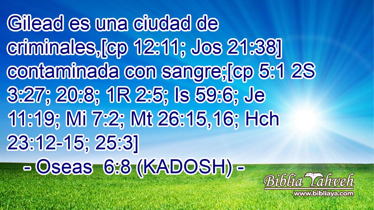  Gilead es una ciudad de criminales,[cp 12:11; Jos 21:38] contaminada con sangre;[cp 5:1 2S 3:27; 20:8; 1R 2:5; Is 59:6; Je 11:19; Mi 7:2; Mt 26:15,16; Hch 23:12-15; 25:3] 