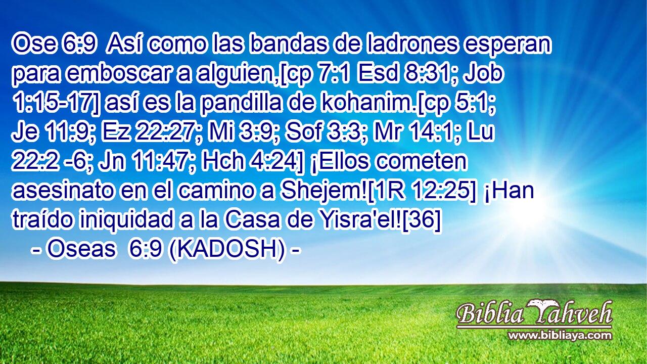  Así como las bandas de ladrones esperan para emboscar a alguien,[cp 7:1 Esd 8:31; Job 1:15-17] así es la pandilla de kohanim.[cp 5:1; Je 11:9; Ez 22:27; Mi 3:9; Sof 3:3; Mr 14:1; Lu 22:2 -6; Jn 11:47; Hch 4:24] ¡Ellos cometen asesinato en el camino a Shejem![1R 12:25] ¡Han traído iniquidad a la Casa de Yisra'el![36] 