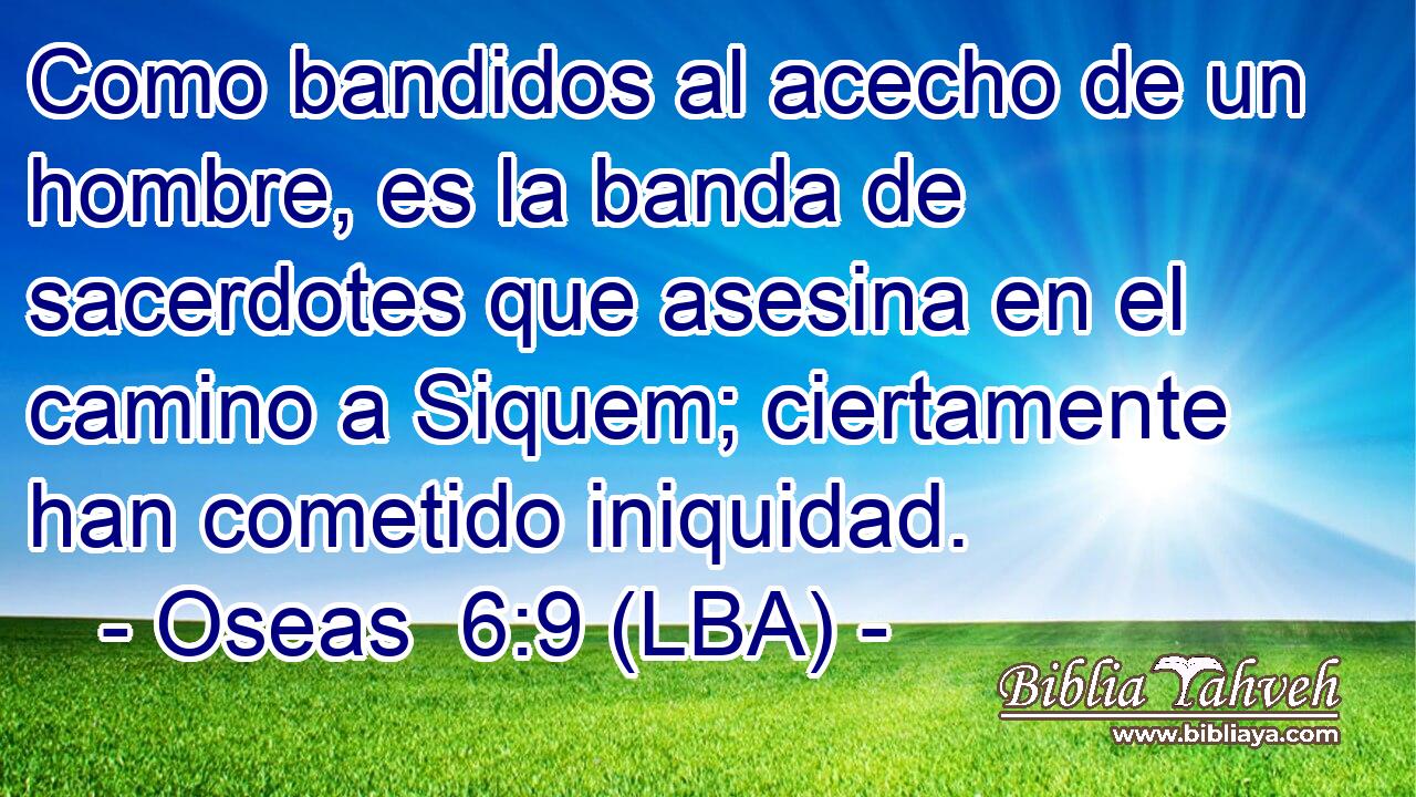Como bandidos al acecho de un hombre, es la banda de sacerdotes que asesina en el camino a Siquem; ciertamente han cometido iniquidad.