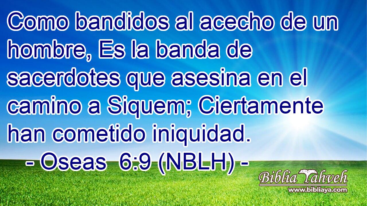  Como bandidos al acecho de un hombre, Es la banda de sacerdotes que asesina en el camino a Siquem; Ciertamente han cometido iniquidad. 
