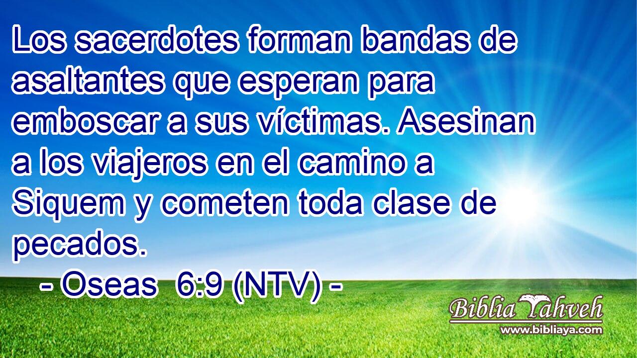 Los sacerdotes forman bandas de asaltantes que esperan para emboscar a sus víctimas. Asesinan a los viajeros en el camino a Siquem y cometen toda clase de pecados.