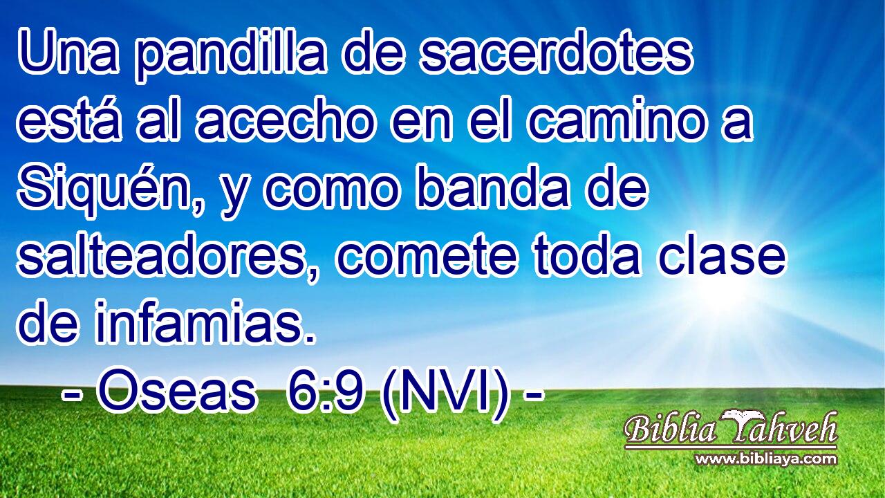  Una pandilla de sacerdotes está al acecho en el camino a Siquén, y como banda de salteadores, comete toda clase de infamias. 
