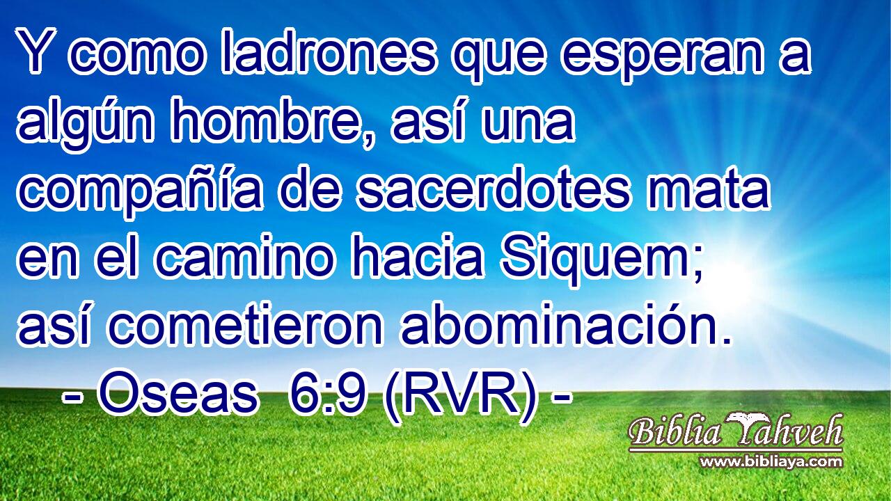 Y como ladrones que esperan a algún hombre, así una compañía de sacerdotes mata en el camino hacia Siquem; así cometieron abominación.