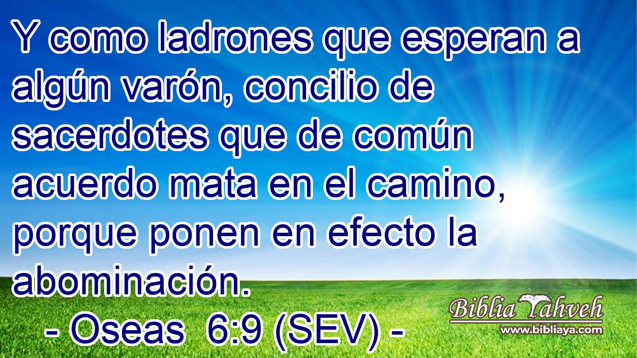 Y como ladrones que esperan a algún varón, concilio de sacerdotes que de común acuerdo mata en el camino, porque ponen en efecto la abominación.