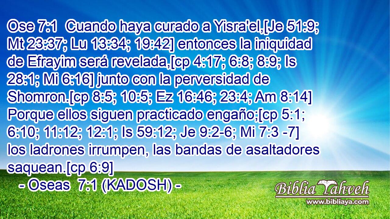 Cuando haya curado a Yisra'el,[Je 51:9; Mt 23:37; Lu 13:34; 19:42] entonces la iniquidad de Efrayim será revelada,[cp 4:17; 6:8; 8:9; Is 28:1; Mi 6:16] junto con la perversidad de Shomron.[cp 8:5; 10:5; Ez 16:46; 23:4; Am 8:14] Porque ellos siguen practicado engaño;[cp 5:1; 6:10; 11:12; 12:1; Is 59:12; Je 9:2-6; Mi 7:3 -7] los ladrones irrumpen, las bandas de asaltadores saquean.[cp 6:9] 