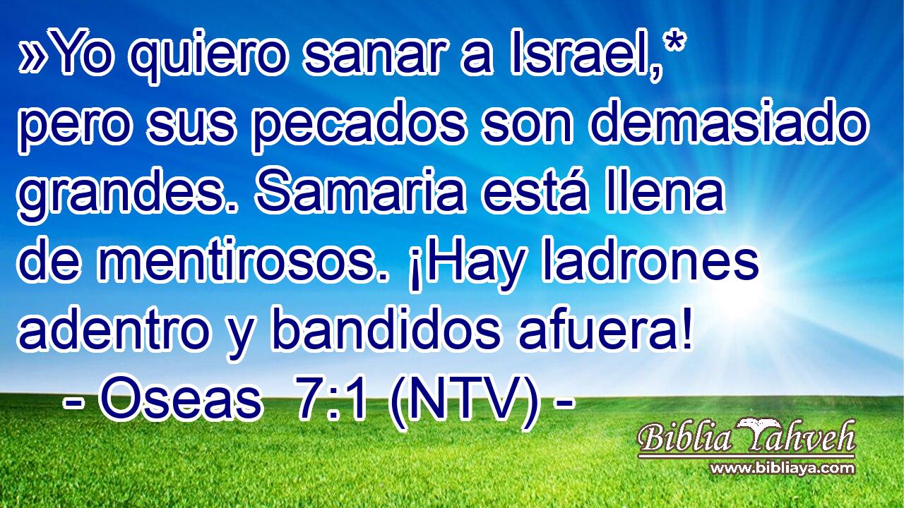 »Yo quiero sanar a Israel,* pero sus pecados son demasiado grandes. Samaria está llena de mentirosos. ¡Hay ladrones adentro y bandidos afuera!