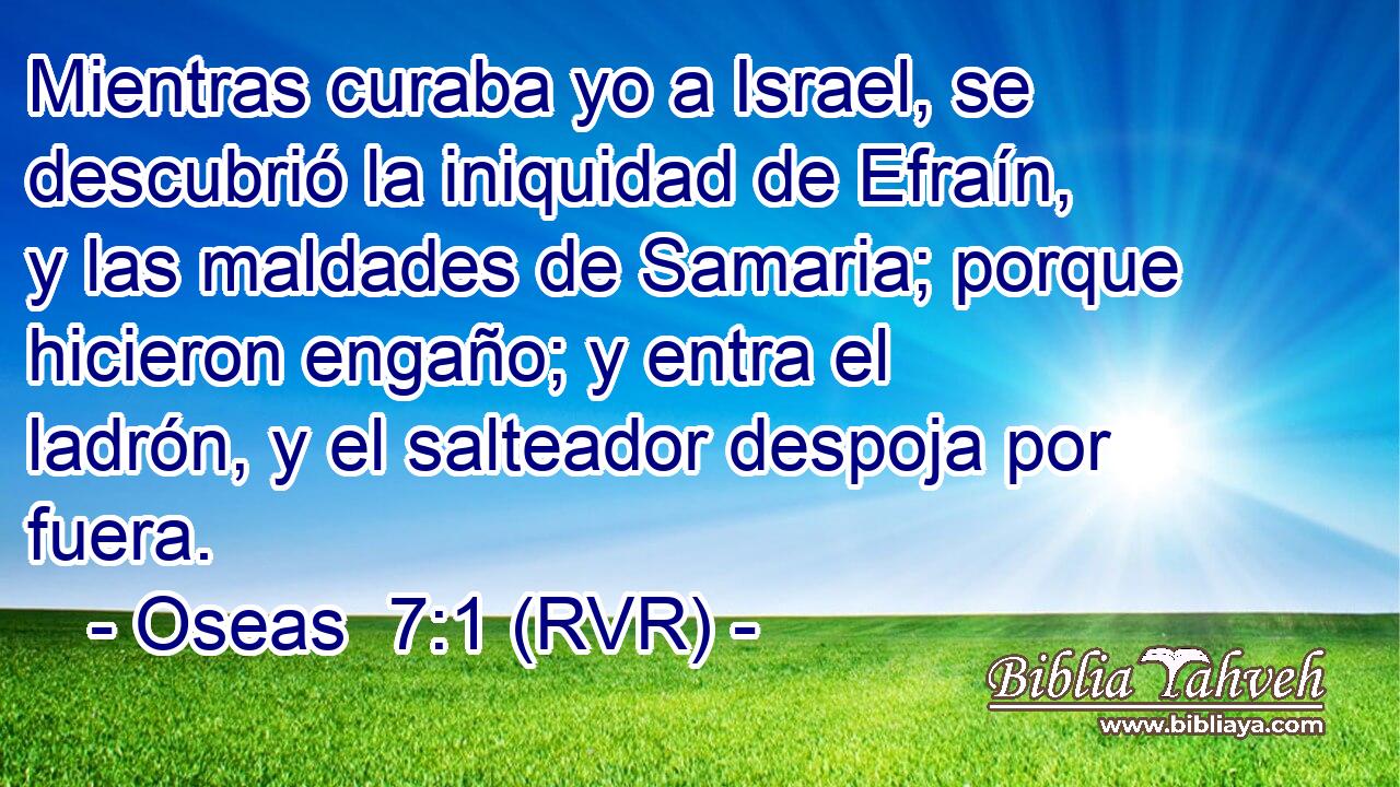 Mientras curaba yo a Israel, se descubrió la iniquidad de Efraín, y las maldades de Samaria; porque hicieron engaño; y entra el ladrón, y el salteador despoja por fuera.
