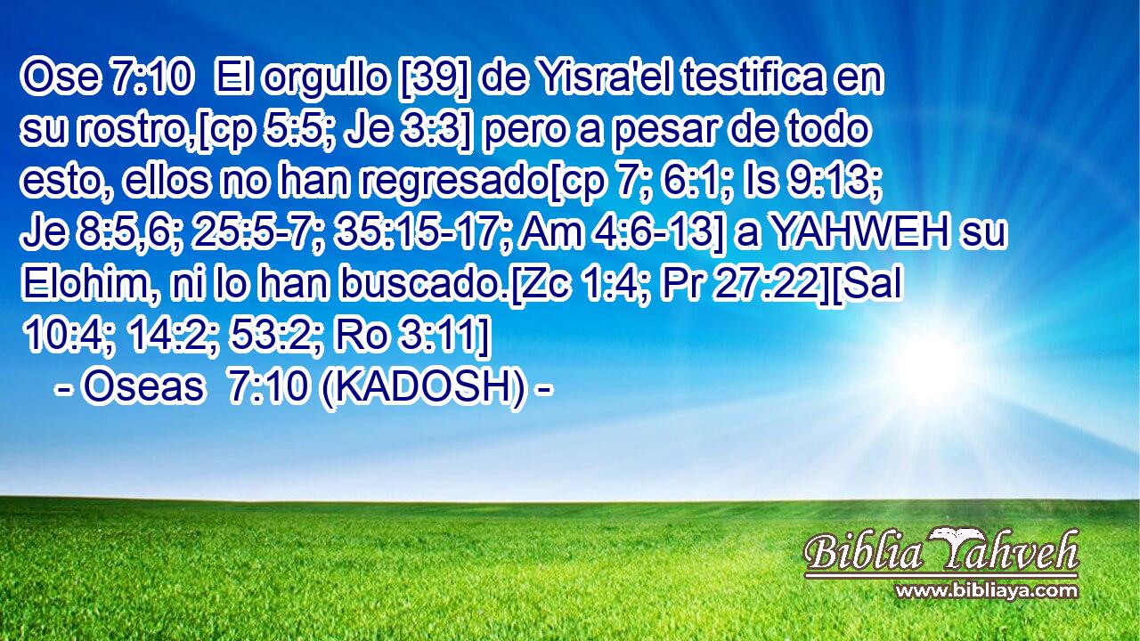  El orgullo [39] de Yisra'el testifica en su rostro,[cp 5:5; Je 3:3] pero a pesar de todo esto, ellos no han regresado[cp 7; 6:1; Is 9:13; Je 8:5,6; 25:5-7; 35:15-17; Am 4:6-13] a YAHWEH su Elohim, ni lo han buscado.[Zc 1:4; Pr 27:22][Sal 10:4; 14:2; 53:2; Ro 3:11] 