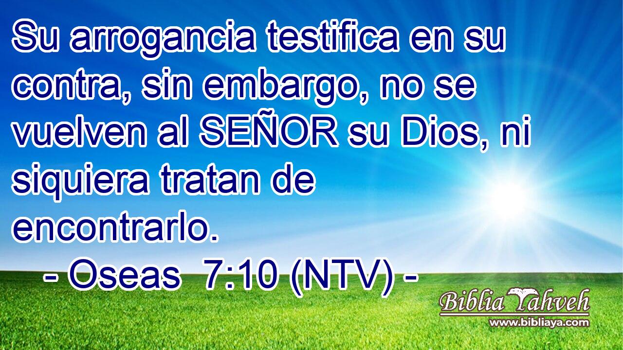Su arrogancia testifica en su contra, sin embargo, no se vuelven al SEÑOR su Dios, ni siquiera tratan de encontrarlo.