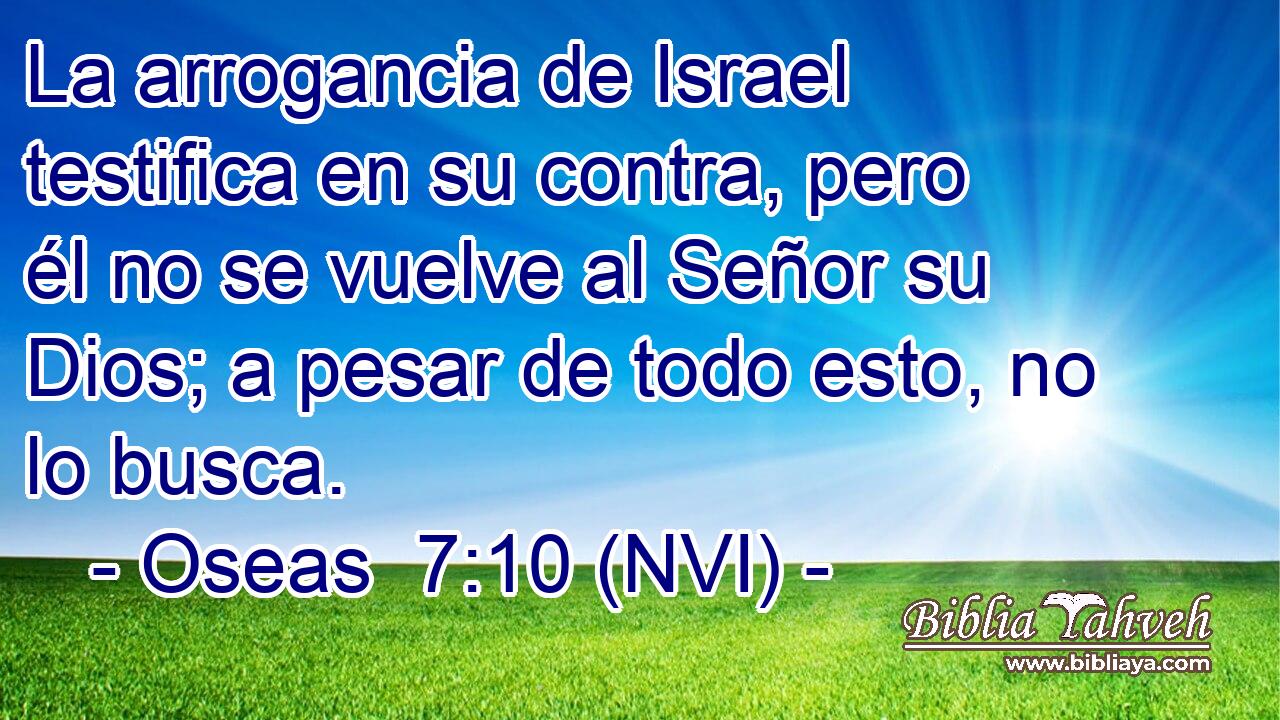  La arrogancia de Israel testifica en su contra, pero él no se vuelve al Señor su Dios; a pesar de todo esto, no lo busca. 