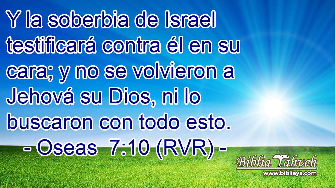 Y la soberbia de Israel testificará contra él en su cara; y no se volvieron a Jehová su Dios, ni lo buscaron con todo esto.