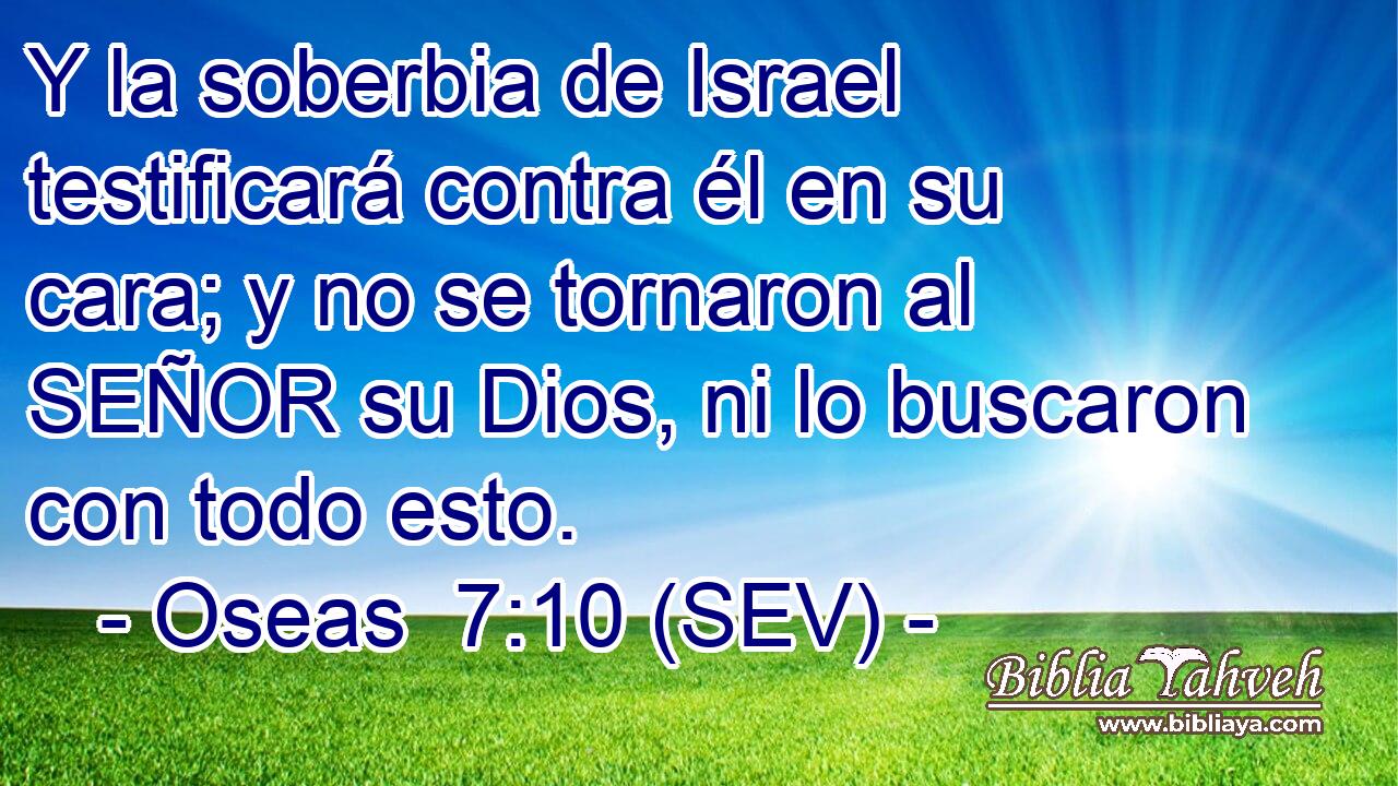 Y la soberbia de Israel testificará contra él en su cara; y no se tornaron al SEÑOR su Dios, ni lo buscaron con todo esto.