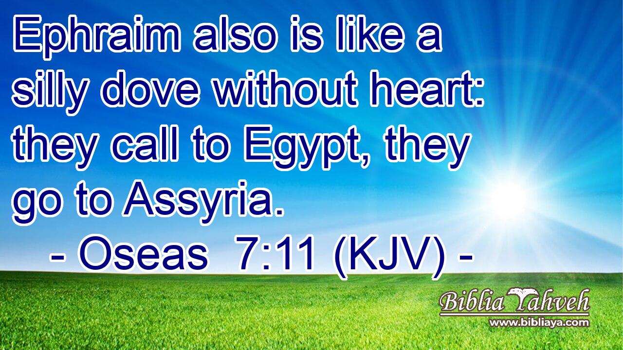 Ephraim also is like a silly dove without heart: they call to Egypt, they go to Assyria.