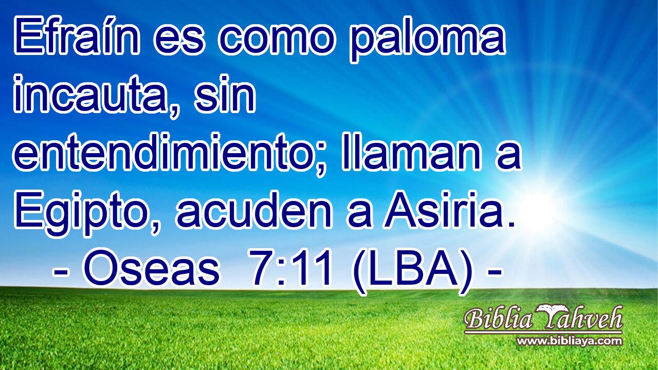 Efraín es como paloma incauta, sin entendimiento; llaman a Egipto, acuden a Asiria.