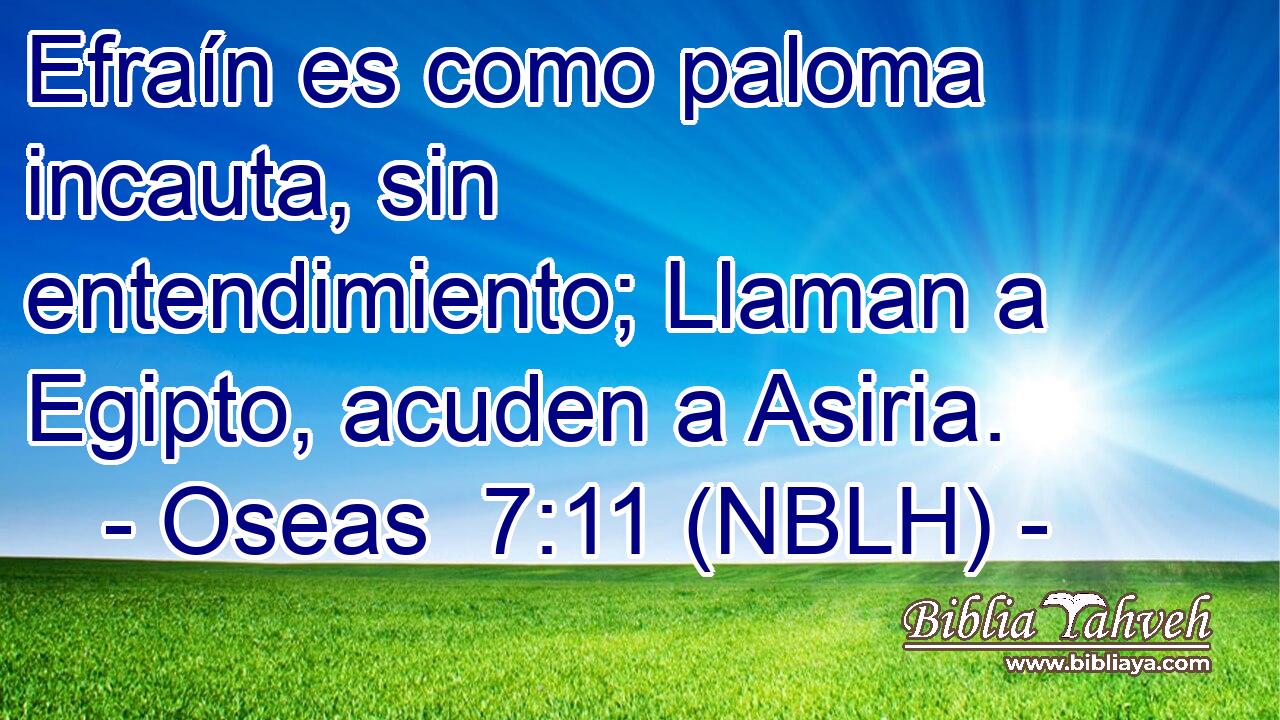  Efraín es como paloma incauta, sin entendimiento; Llaman a Egipto, acuden a Asiria. 