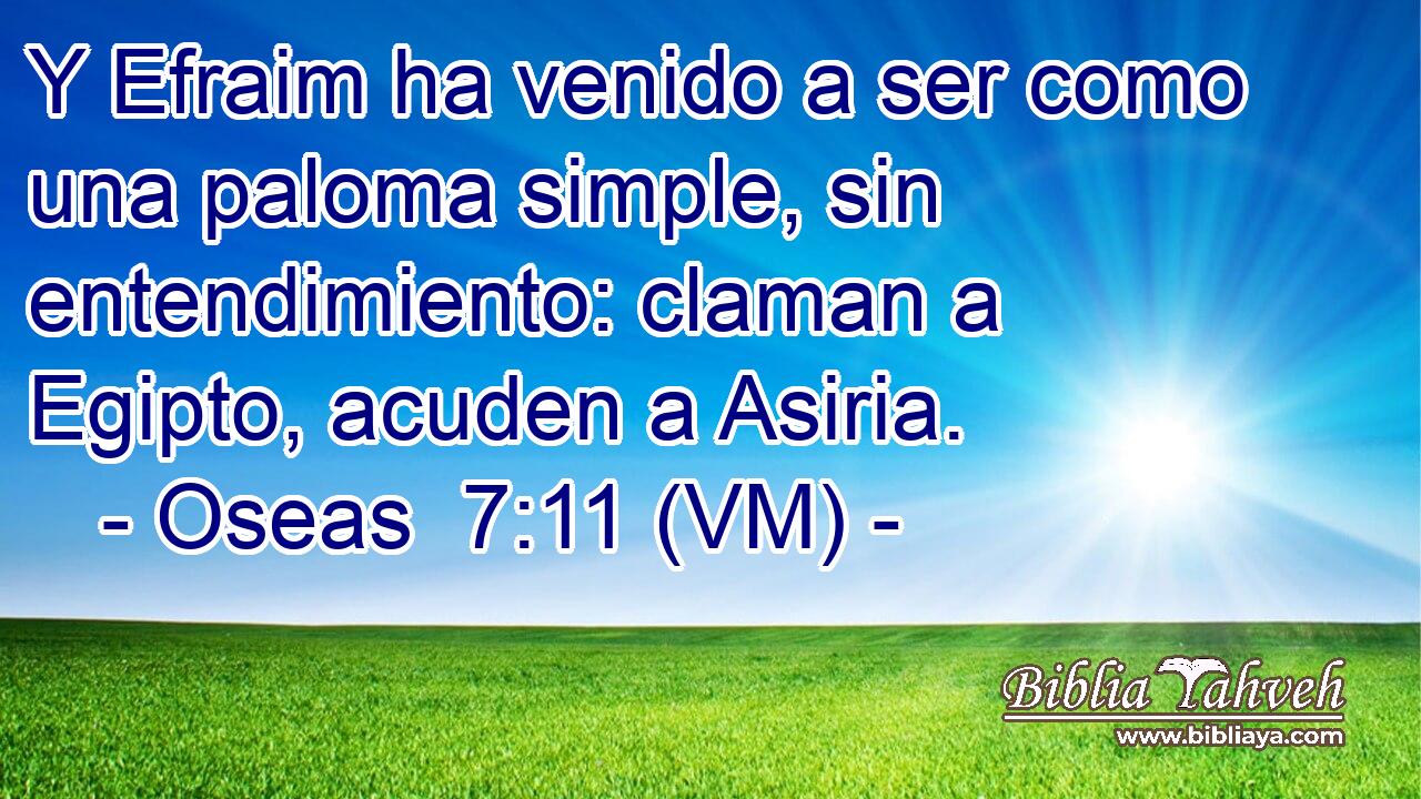  Y Efraim ha venido a ser como una paloma simple, sin entendimiento: claman a Egipto, acuden a Asiria. 