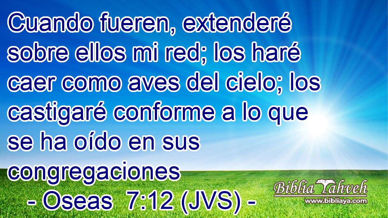Cuando fueren, extenderé sobre ellos mi red; los haré caer como aves del cielo; los castigaré conforme a lo que se ha oído en sus congregaciones