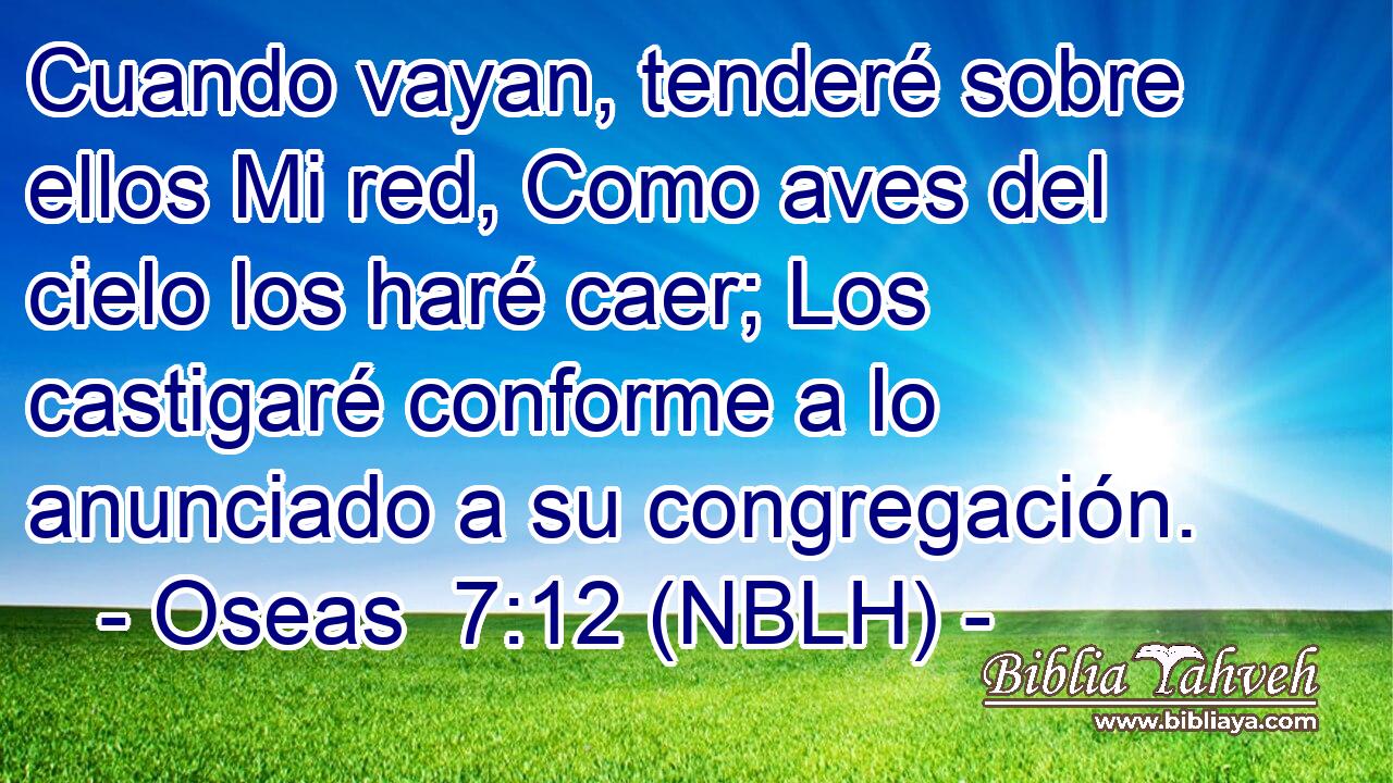  Cuando vayan, tenderé sobre ellos Mi red, Como aves del cielo los haré caer; Los castigaré conforme a lo anunciado a su congregación. 