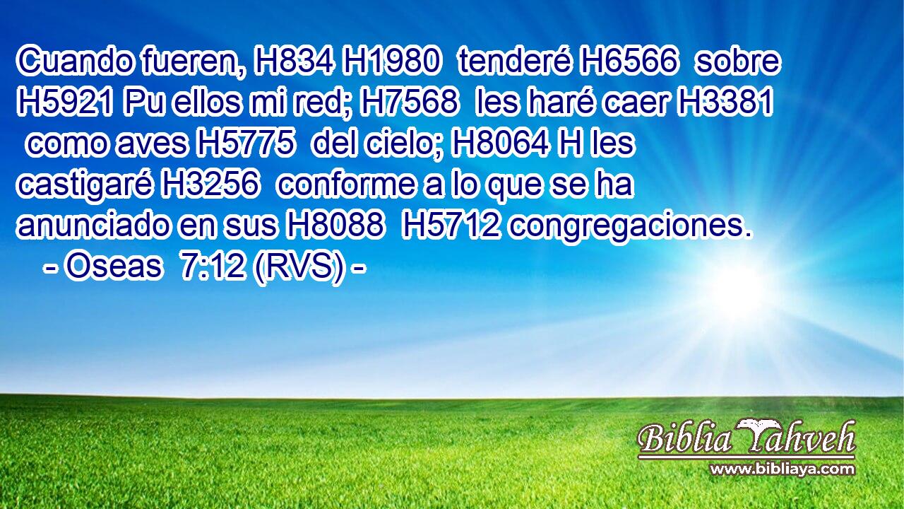 Cuando fueren, H834 H1980  tenderé H6566  sobre H5921 Pu ellos mi red; H7568  les haré caer H3381  como aves H5775  del cielo; H8064 H les castigaré H3256  conforme a lo que se ha anunciado en sus H8088  H5712 congregaciones. 