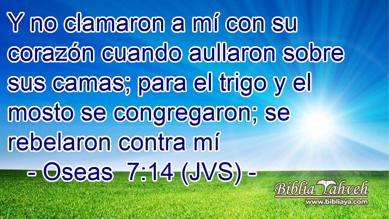Y no clamaron a mí con su corazón cuando aullaron sobre sus camas; para el trigo y el mosto se congregaron; se rebelaron contra mí
