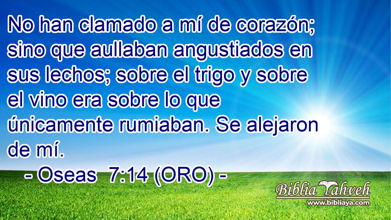  No han clamado a mí de corazón; sino que aullaban angustiados en sus lechos; sobre el trigo y sobre el vino era sobre lo que únicamente rumiaban. Se alejaron de mí. 