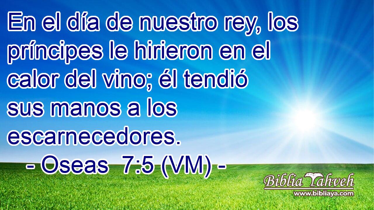  En el día de nuestro rey, los príncipes le hirieron en el calor del vino; él tendió sus manos a los escarnecedores. 