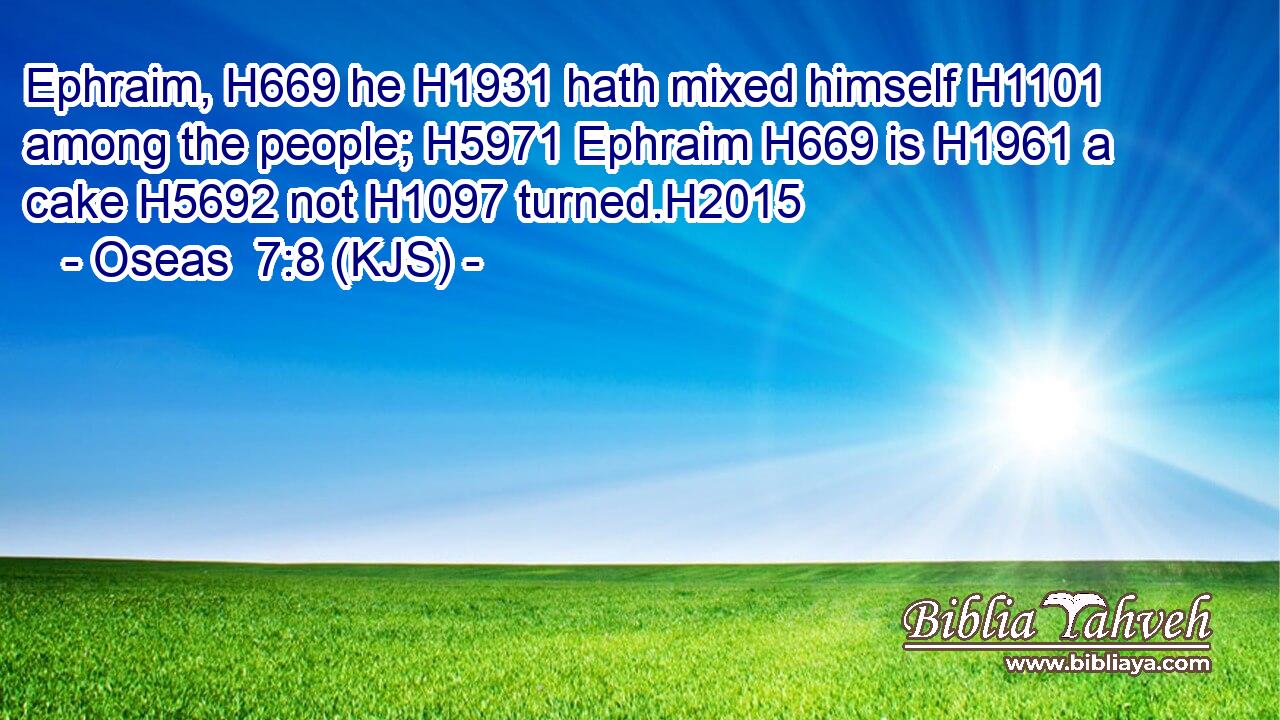 Ephraim, H669 he H1931 hath mixed himself H1101 among the people; H5971 Ephraim H669 is H1961 a cake H5692 not H1097 turned.H2015