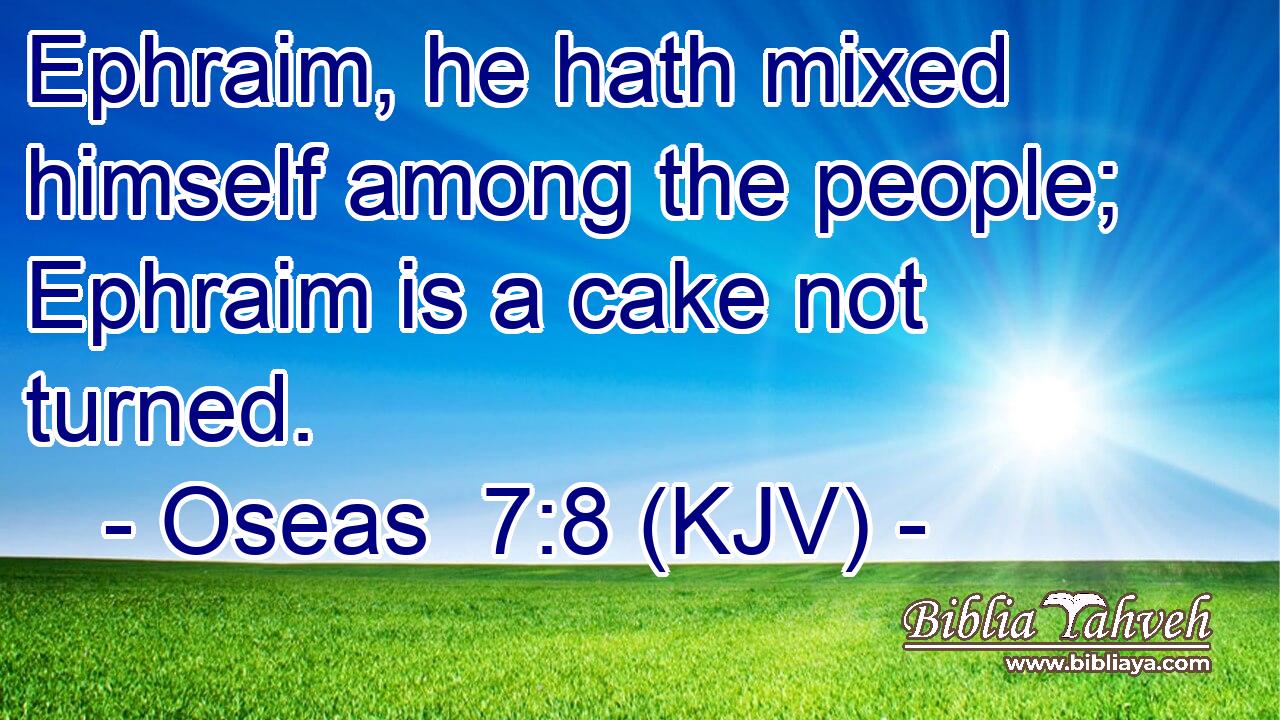 Ephraim, he hath mixed himself among the people; Ephraim is a cake not turned.