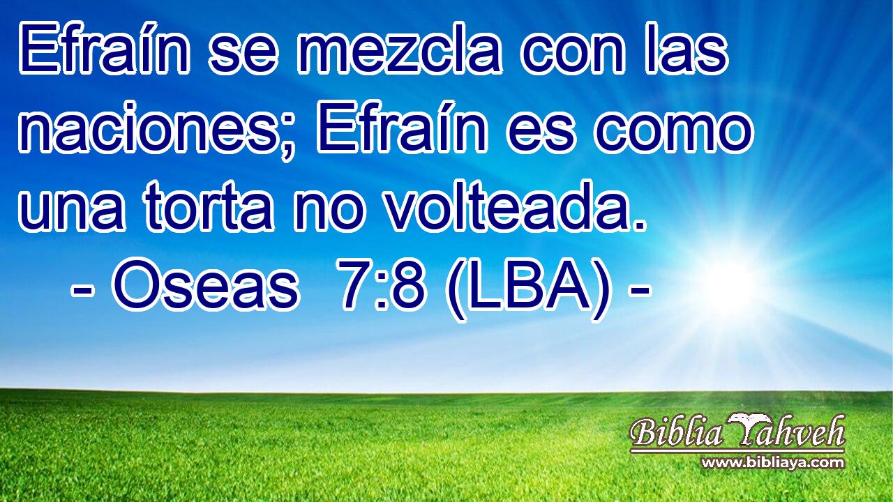 Efraín se mezcla con las naciones; Efraín es como una torta no volteada.