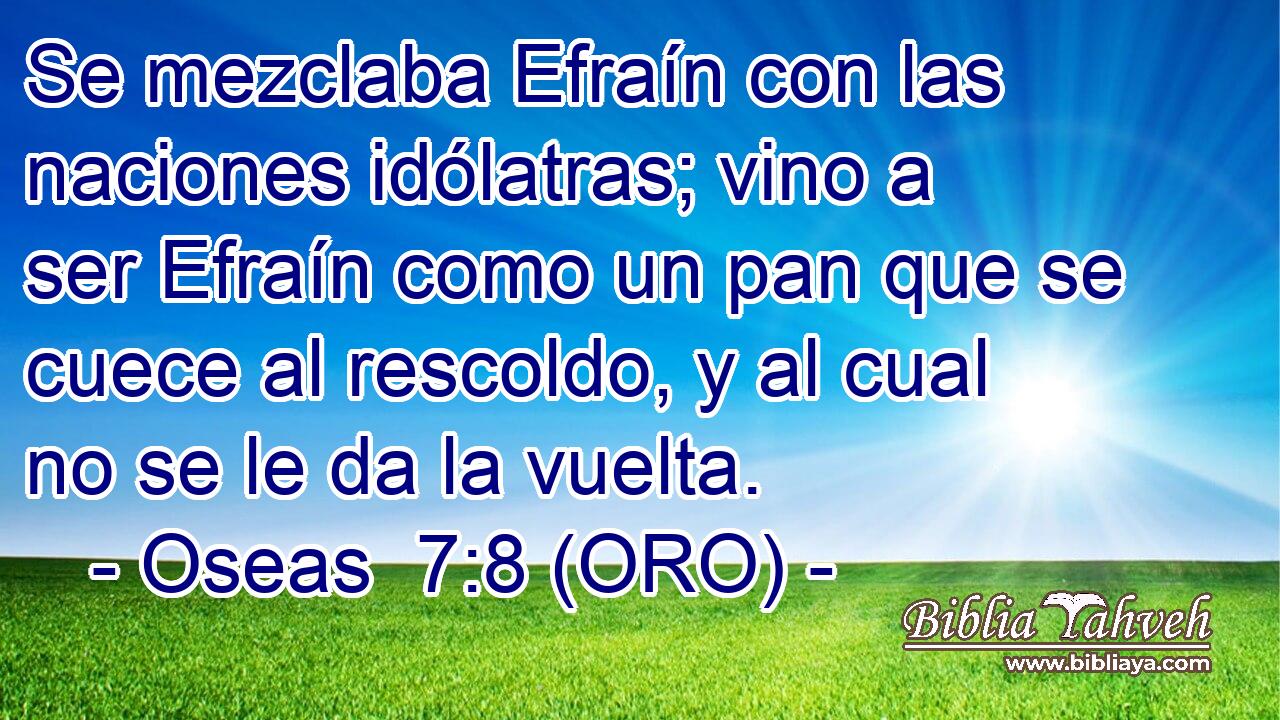  Se mezclaba Efraín con las naciones idólatras; vino a ser Efraín como un pan que se cuece al rescoldo, y al cual no se le da la vuelta. 