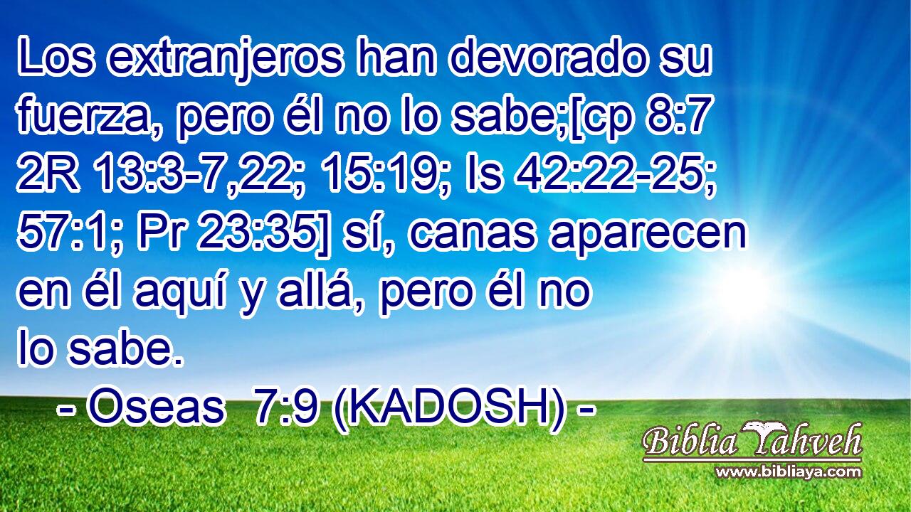  Los extranjeros han devorado su fuerza, pero él no lo sabe;[cp 8:7 2R 13:3-7,22; 15:19; Is 42:22-25; 57:1; Pr 23:35] sí, canas aparecen en él aquí y allá, pero él no lo sabe. 
