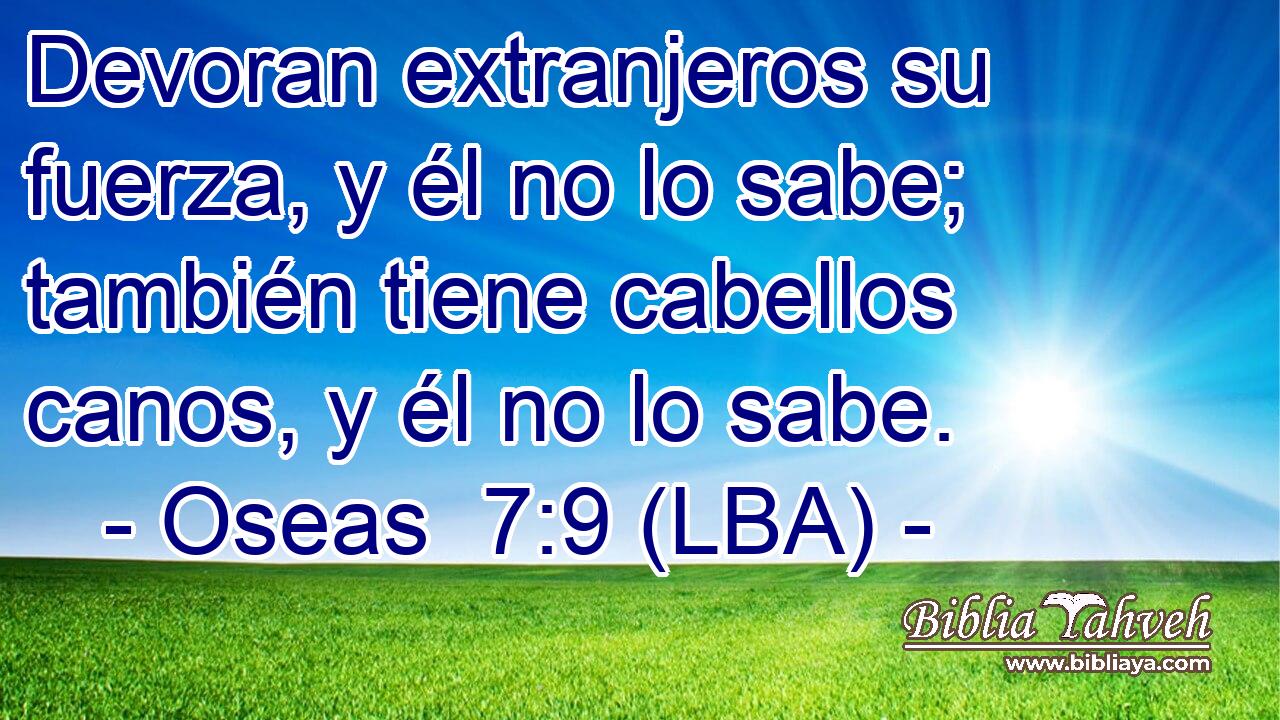 Devoran extranjeros su fuerza, y él no lo sabe; también tiene cabellos canos, y él no lo sabe.